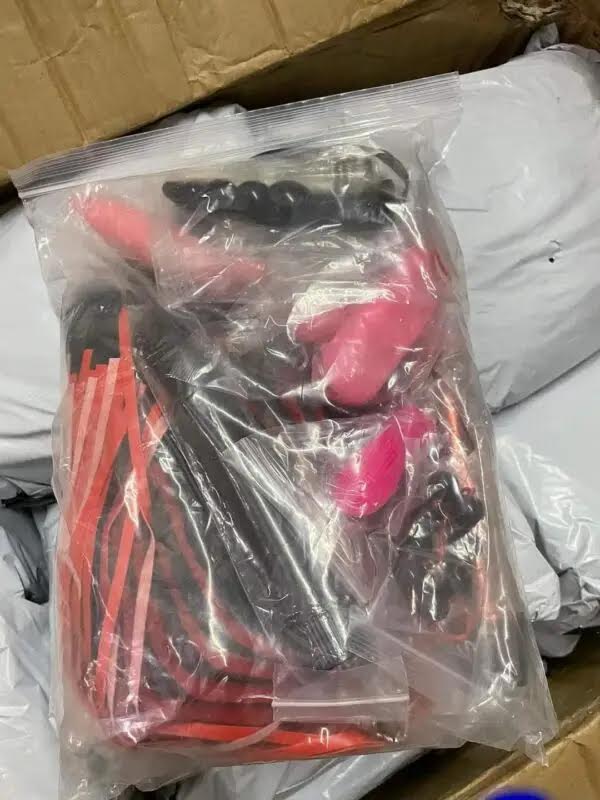 Wholesale Adult Toys Pallet | 300+ Units — Best Profitable Lot 7 Adult Toys and Accessories Pallet_Today2